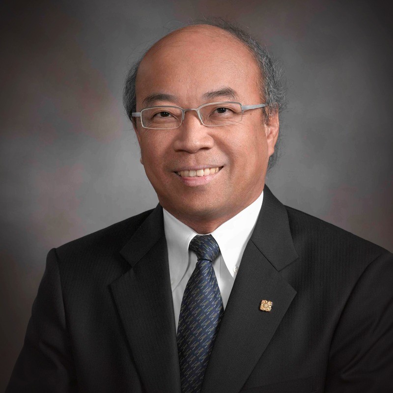 Portrait of Professor Er Meng Hwa